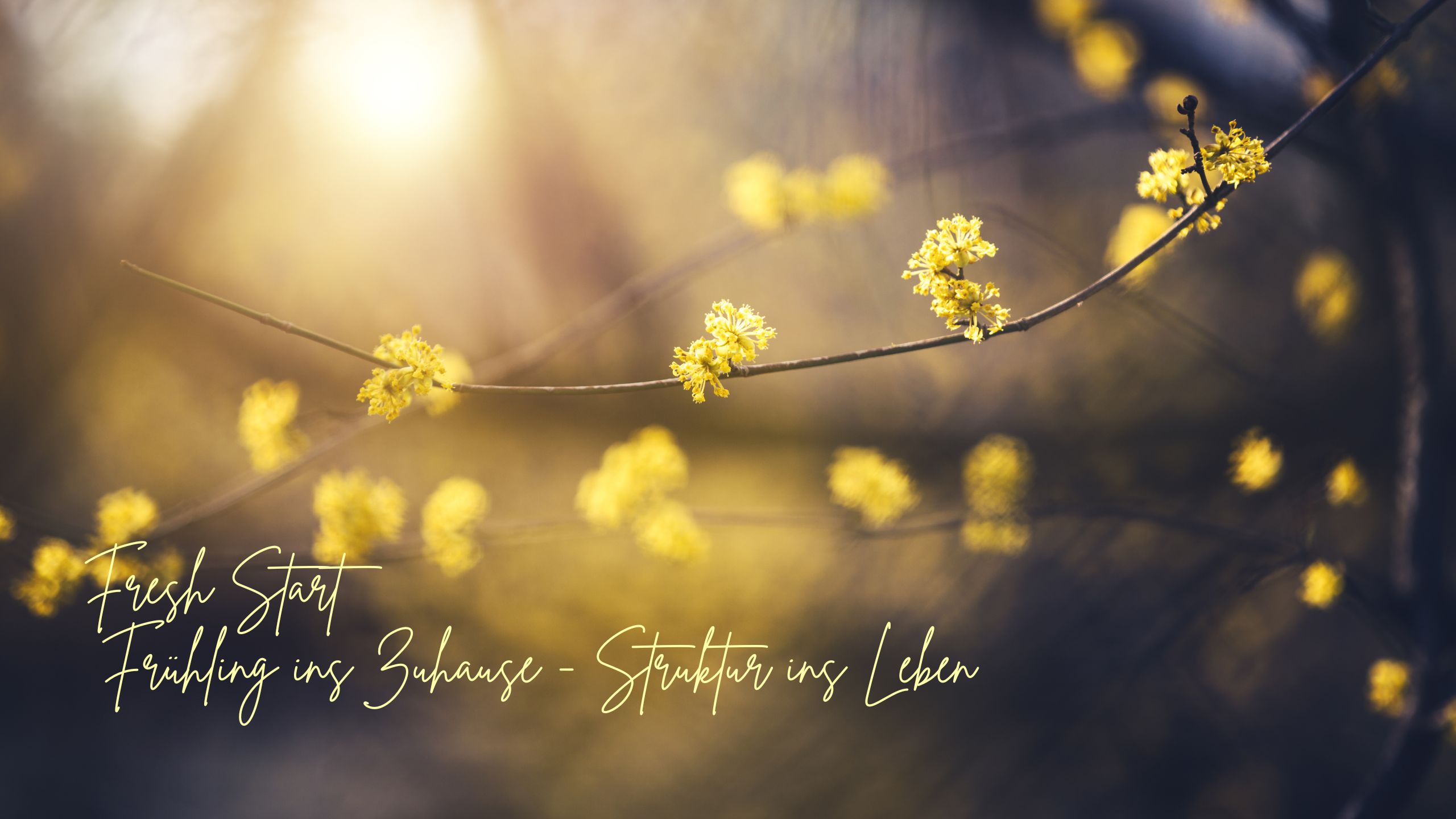 Fresh Start – Frühling ins Zuhause, Struktur ins Leben